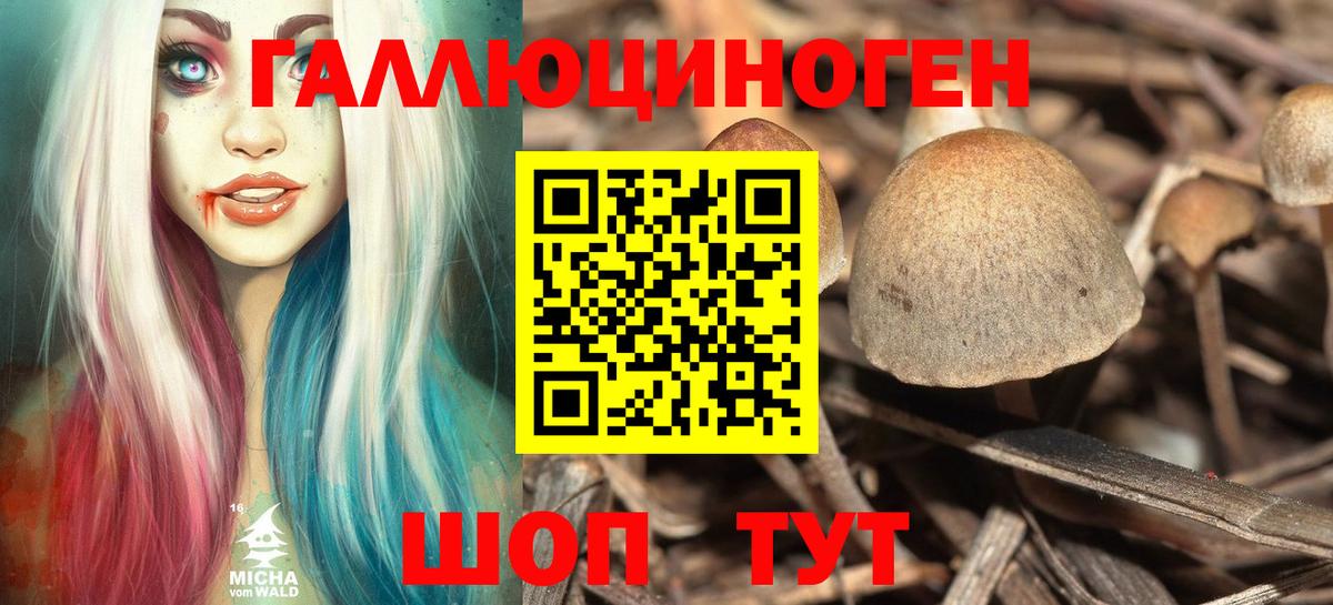 Галлюциногенные грибы прущие грибы  Вход с VPN  что такое   Великий Новгород 
